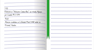 Agenda