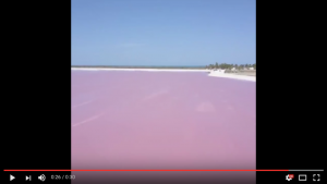 Vista aérea de Las Coloradas